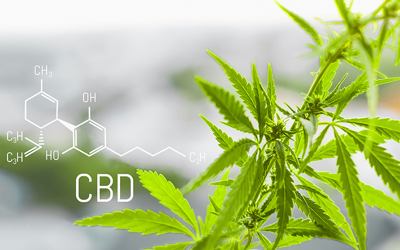 CBDとは