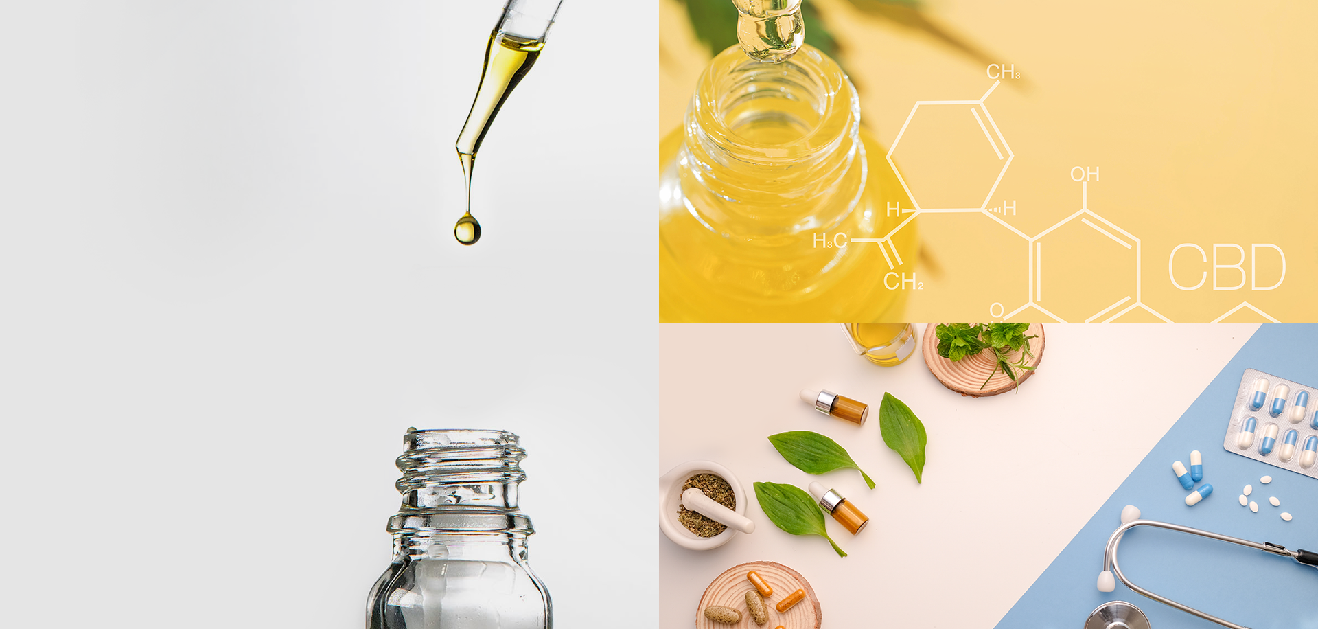 CBD ASIA HOLDINGS