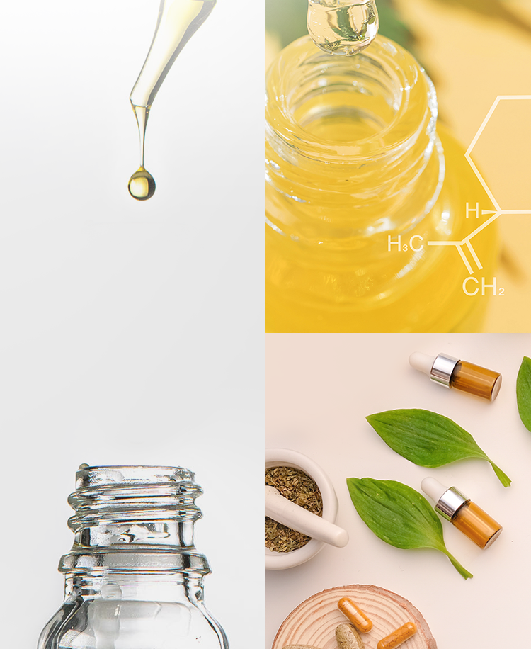 CBD ASIA HOLDINGS